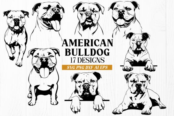 American Bulldog SVG Bundle Review