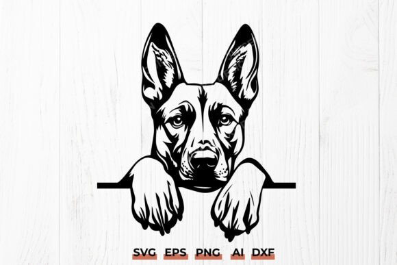 Belgian Malinois Peeking SVG Working Dog