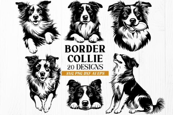 Border Collie SVG Bundle Review for Embroidery Projects